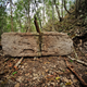 Imagen para el artículo titulado Descubren la ciudad Maya perdida de Chactún en una selva de México
